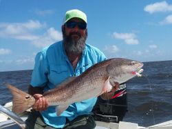 Redfish caught in FL