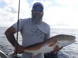 A fisherman holding a large redfish in Panacea