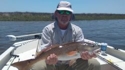 One large redfish caught while fishing in Florida