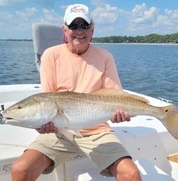 Redfish, 30-inch fish caught in Panacea