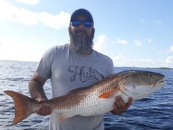 Redfish caught in Panacea, Florida during fishing trip