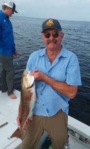 Redfish caught in Panacea, Florida
