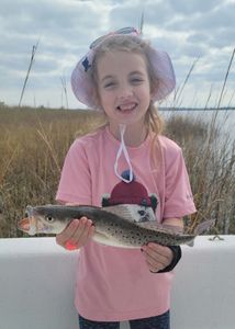 Exciting solo angler fishing in Panacea