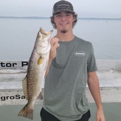 Spotted Weakfish, 21 inches, caught fishing in FL