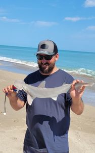 Bonnethead shark caught while fishing in FL