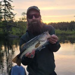 Guided Fishing Marvels in Maine, Bass