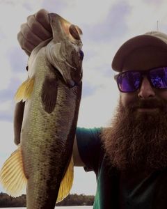 Largemouth Bliss: Maine Fishing Charters