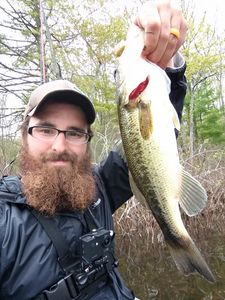 Largemouth Bass Delight in Maine