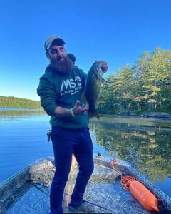 One fisherman reeling in a 15-inch catch in ME