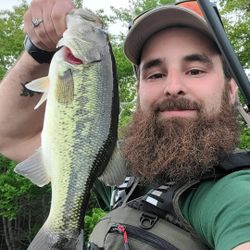 Largemouth Bass caught fishing in ME