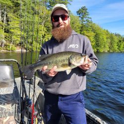 Largemouth Bass caught on fishing tour in Union