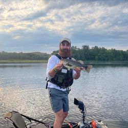 Largemouth Bass caught while fishing in Maine