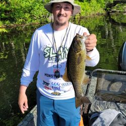 Smallmouth bass caught while fishing in Union
