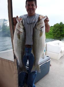 Trophy Striped Bass in Lake Moultrie