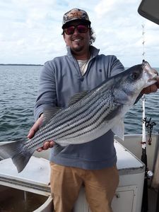 Caught Striped Bass in Santee Cooper Lake