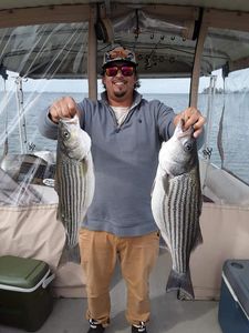 Fishing for Massive Striped Bass in SC