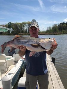 Angler holding a 28-inch fish in SC