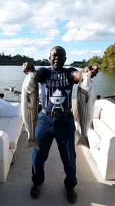 Two striped bass caught by anglers at Cross Street