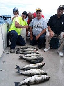 3 king mackerel in a fishing adventure