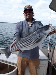 Striped bass caught at Cross Street location