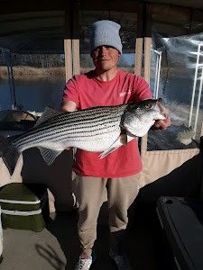 Striped bass fish caught by angler in South Carolina