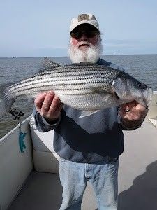 Striped bass caught in SC