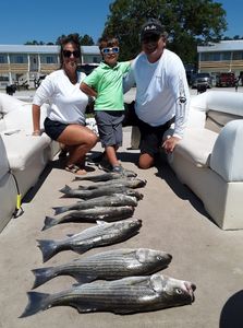 3 striped bass caught in SC