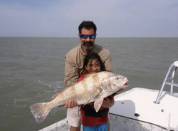 Black Drum in South Padre Island