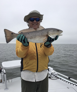 Redfish in South Padre Island, TX