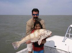 Black drum fish being caught in Texas