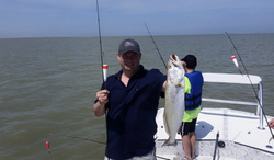 Impressive bluefish catch in Port Isabel
