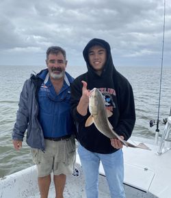 Bonnethead Shark caught while fishing in Port Isabel