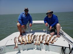 9 redfish caught in TX while fishing