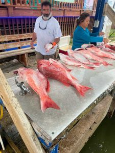 Two people fishing in Port Isabel