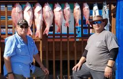 5 fish caught while fishing in Port Isabel