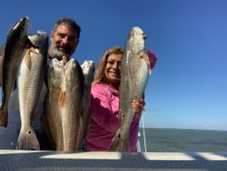 Four big redfish caught in TX
