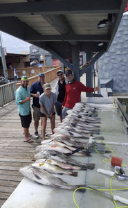 Two big fish caught in TX