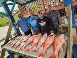 3 big fish caught while fishing in Port Isabel