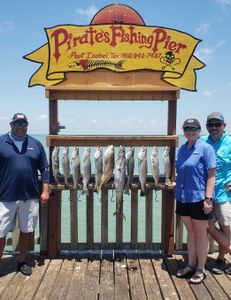 3 king mackerel fish caught in TX