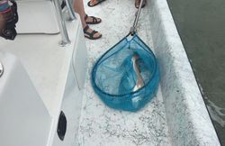 Scenic view of Port Isabel, Texas