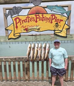 Six redfish displayed on fishing pier rail at Pirates Fishing Pier in Port Isabel, Texas