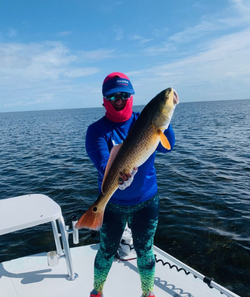 Redfish caught while fishing in TX