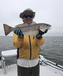 Redfish catch in TX
