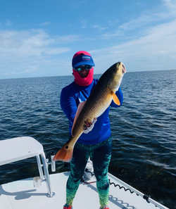 Redfish in South Padre Island, TX