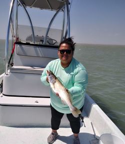 Spotted Weakfish caught while fishing in Port Isabel