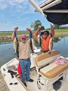 4 wiper and striped bass caught fishing in TX