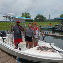 Catfish fun! Strong and steady.