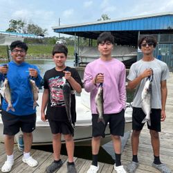 5 fishing rods with 4 people in the background at Willis location