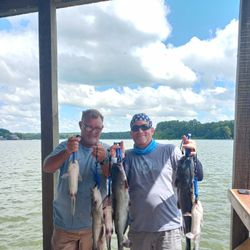 Proud with a solid catfish haul!