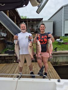3 striped bass and blue catfish caught in TX